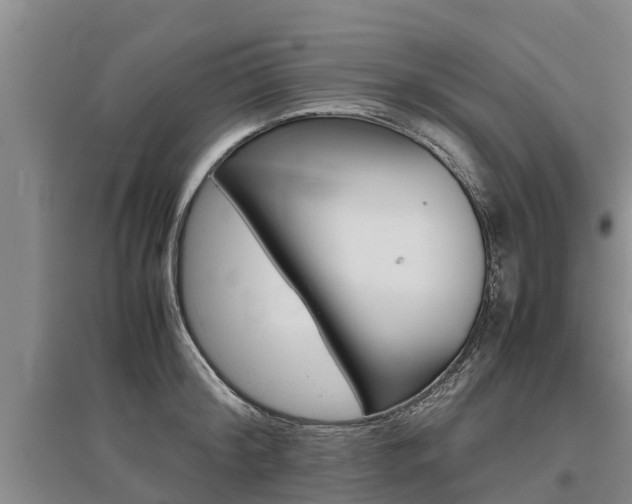 X0000095890804200801110827