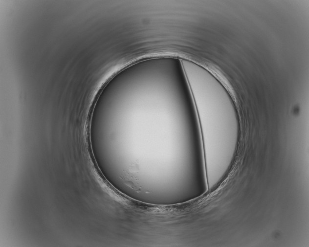X0000095890805200801110827