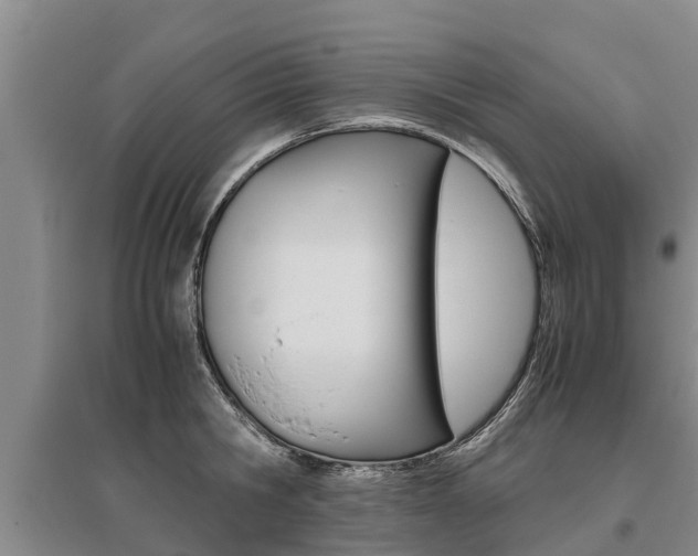 X0000095890806200801110827