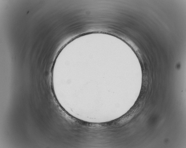 X0000095890807200801110827