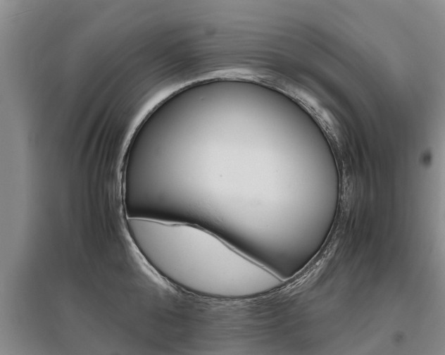 X0000095890808200801110827