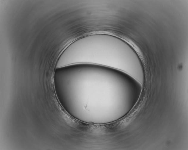 X0000095890809200801110827