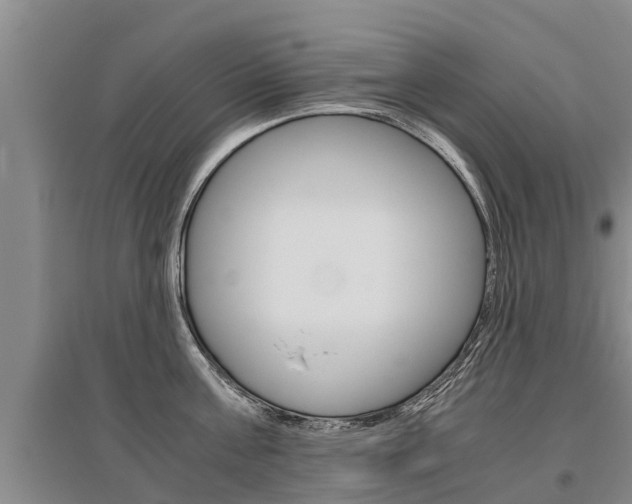 X0000095890811200801110827