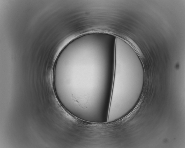 X0000095890812200801110827