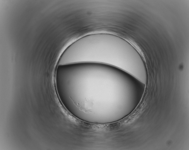 X0000095890813200801110827
