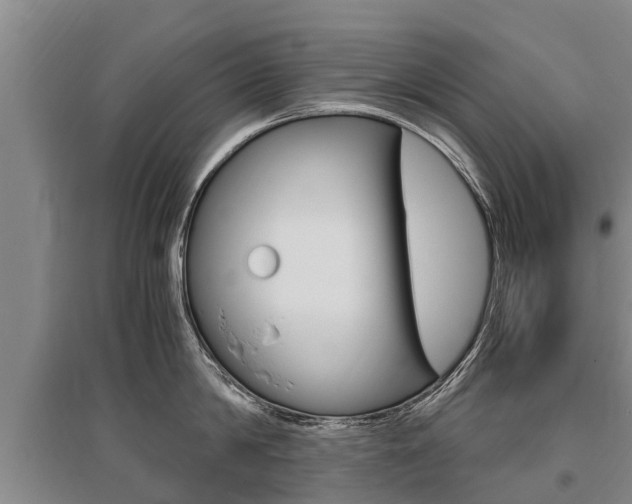 X0000095890814200801110827