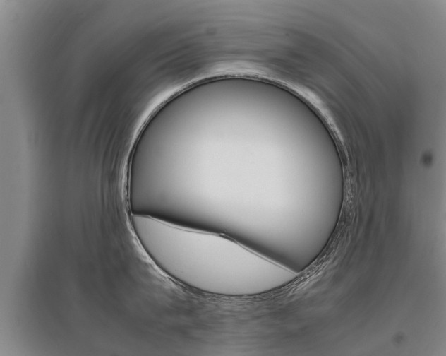 X0000095890815200801110827