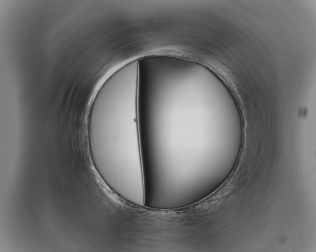 X0000095890816200801110827