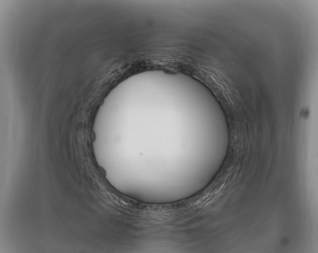 X0000095890817200801110826