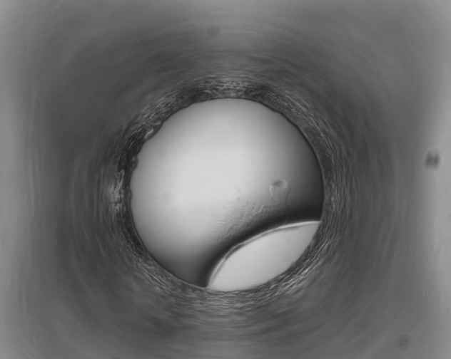 X0000095890818200801110826