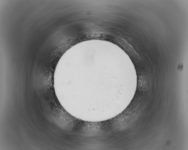 X0000095890820200801110826
