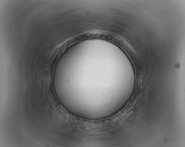 X0000095890821200801110826