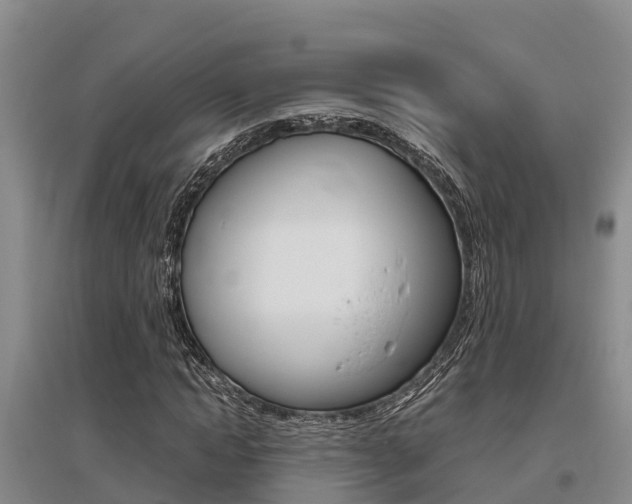 X0000095890822200801110826