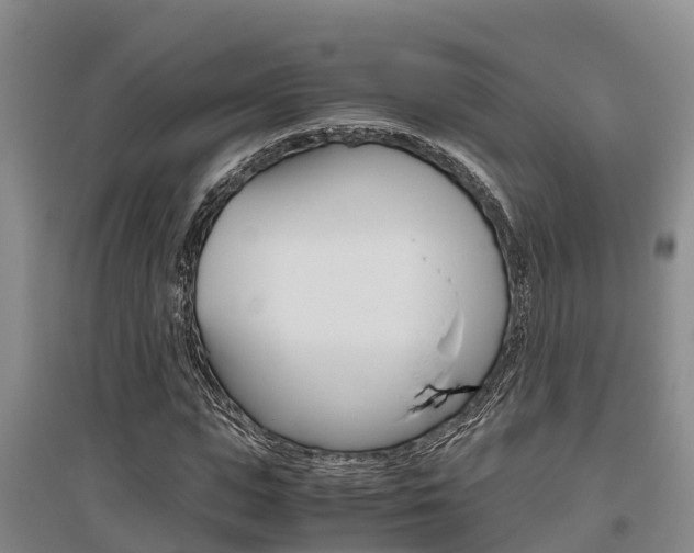 X0000095890823200801110826
