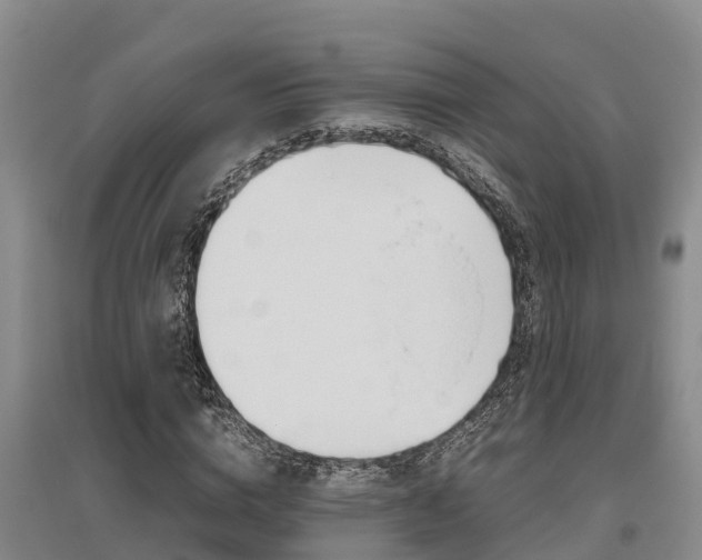 X0000095890824200801110826