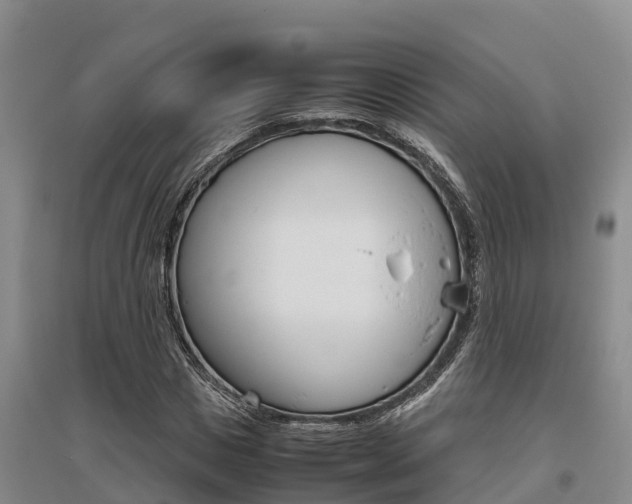 X0000095890825200801110826