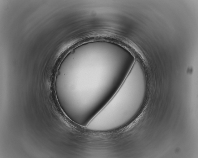 X0000095890826200801110826