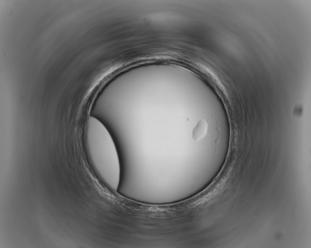 X0000095890827200801110826