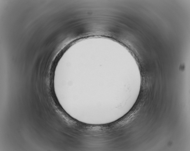 X0000095890828200801110826