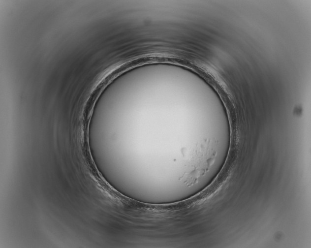 X0000095890829200801110827