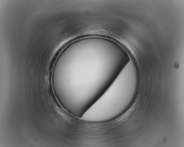 X0000095890830200801110827