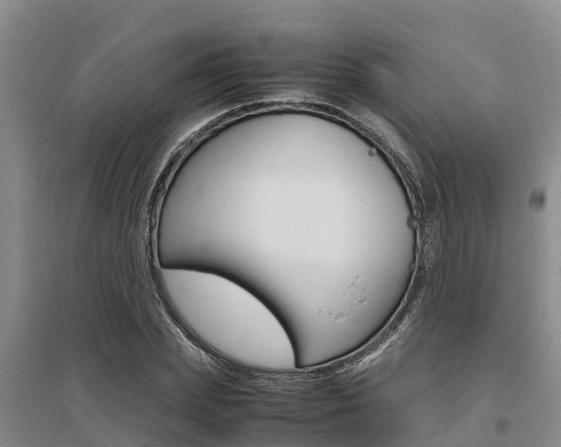 X0000095890831200801110827