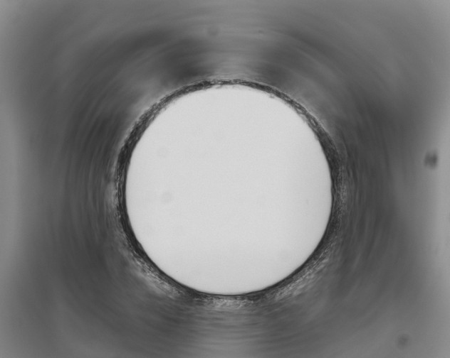 X0000095890832200801110827