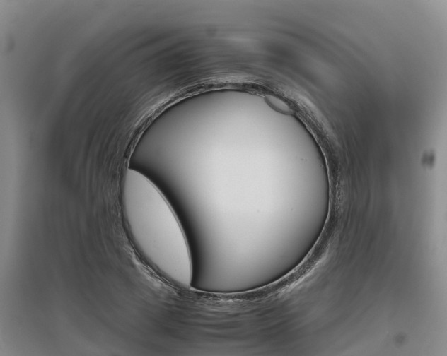 X0000095890833200801110827