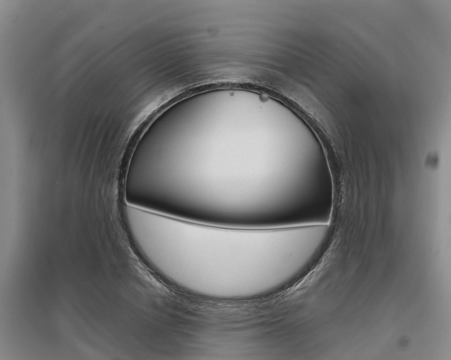 X0000095890834200801110827