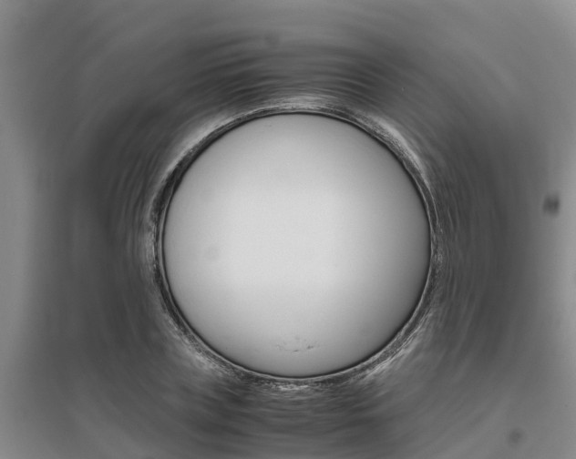 X0000095890835200801110827