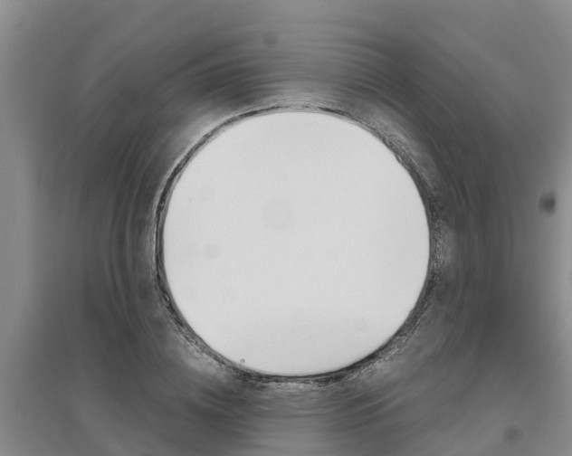 X0000095890836200801110827