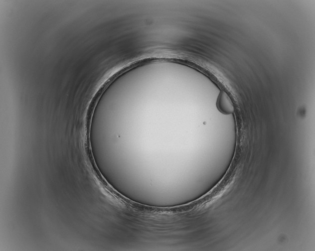 X0000095890837200801110827