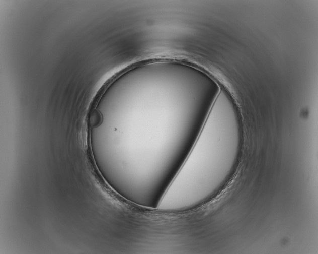 X0000095890838200801110827