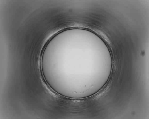X0000095890839200801110827