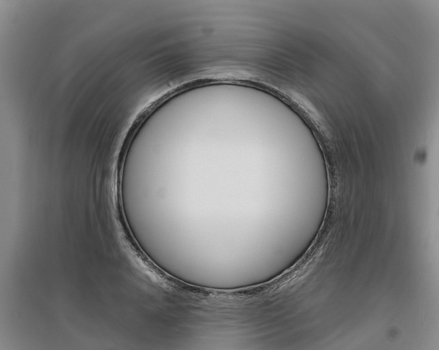 X0000095890840200801110827