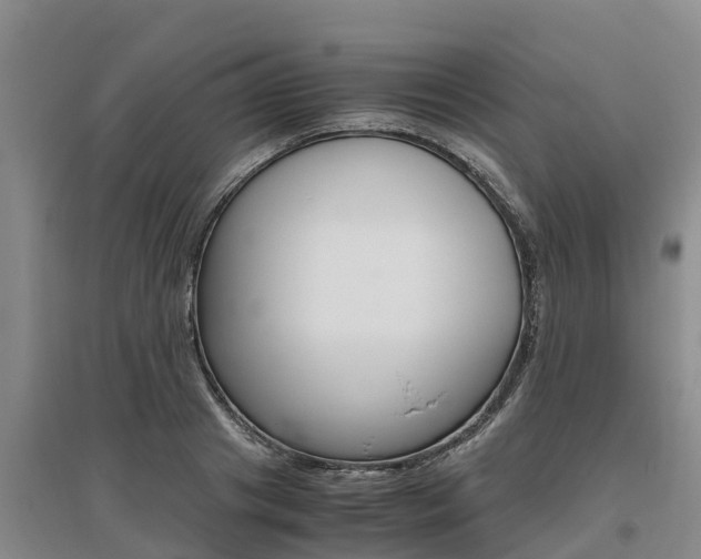 X0000095890841200801110827