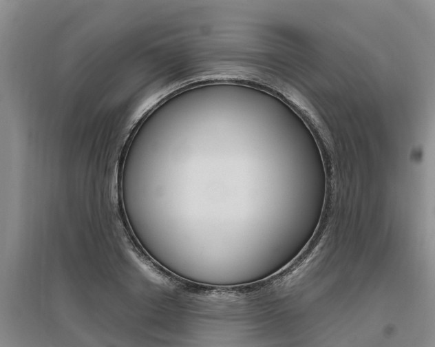 X0000095890842200801110827