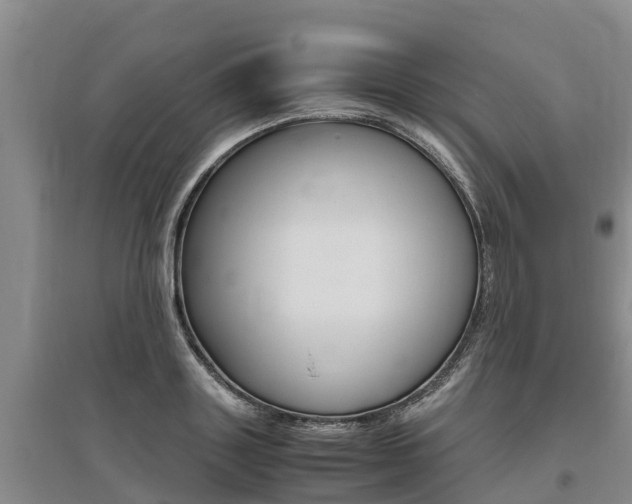 X0000095890843200801110827