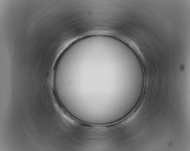 X0000095890844200801110827
