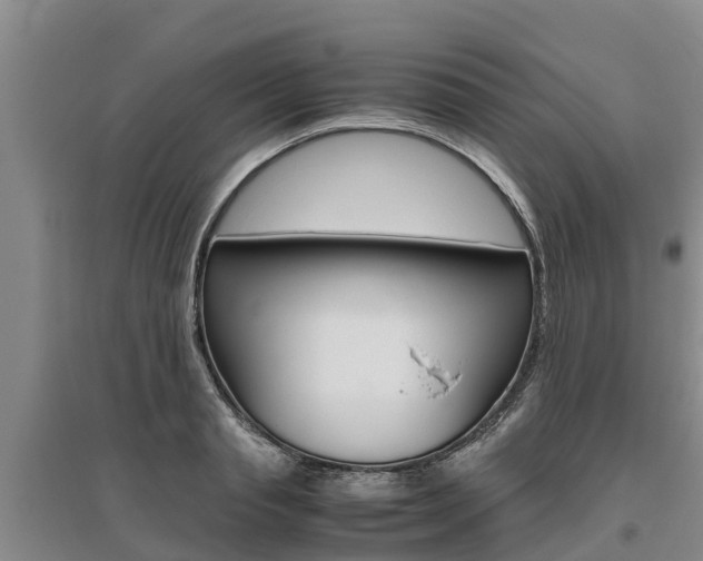 X0000095890845200801110827