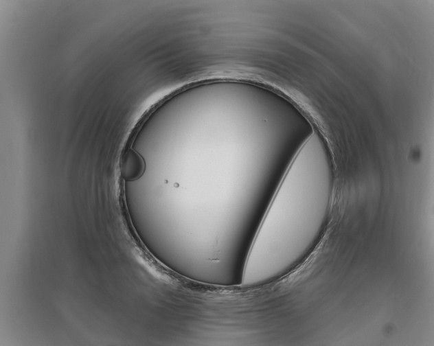 X0000095890846200801110827