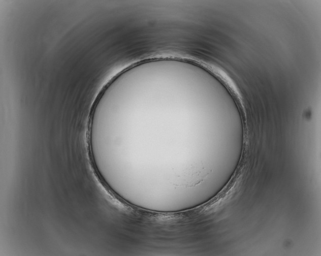X0000095890847200801110827