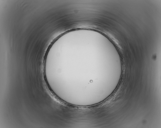 X0000095890848200801110827