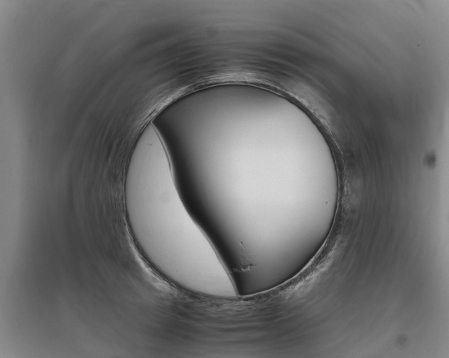 X0000095890849200801110827