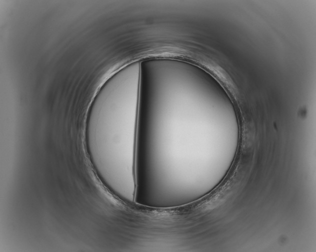 X0000095890850200801110827
