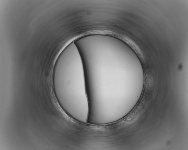 X0000095890852200801110827