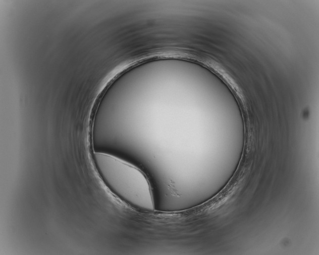 X0000095890853200801110827