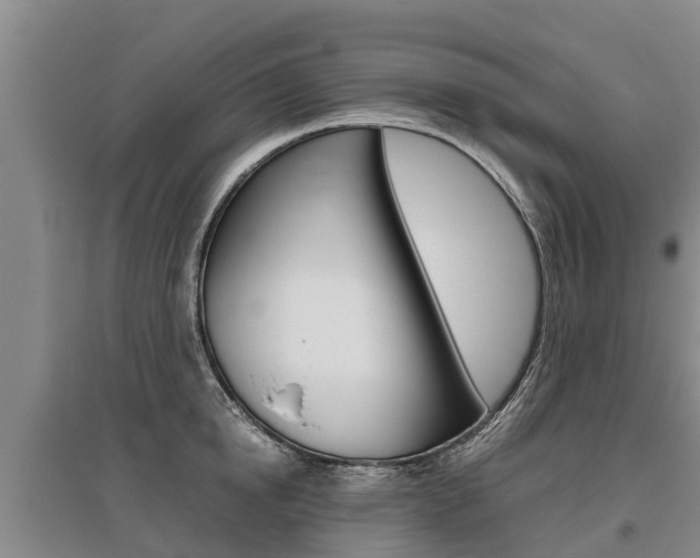 X0000095890854200801110827