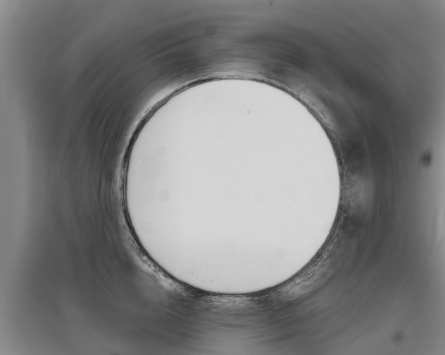 X0000095890856200801110827