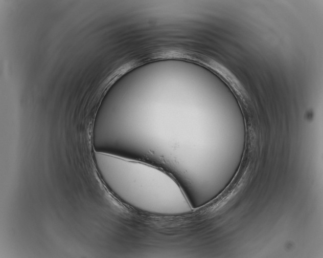 X0000095890857200801110827